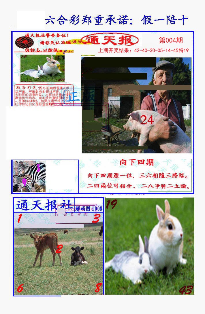 004期假一陪十通天报[图]