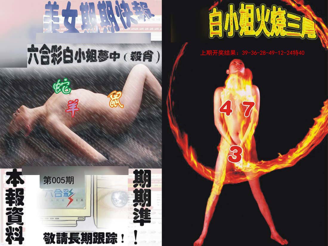 005期环球美女特码报[图]