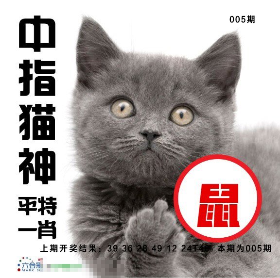 005期中指猫神[图]
