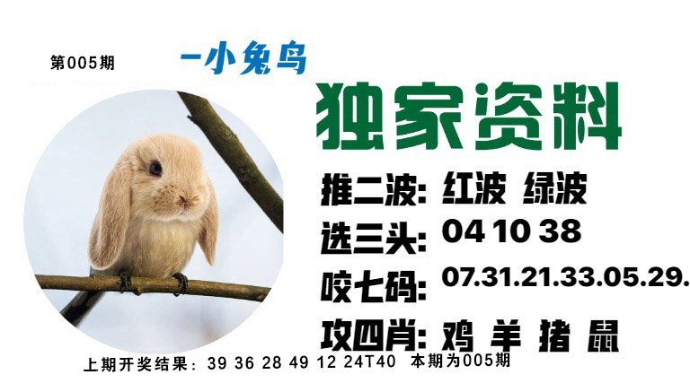 005期小兔鸟[图]