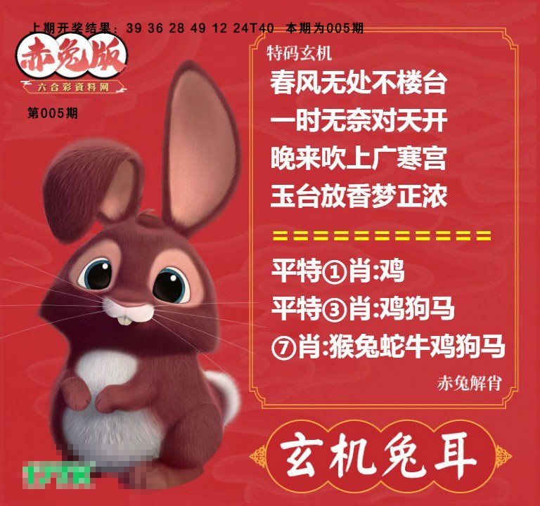 005期玄机兔耳[图]