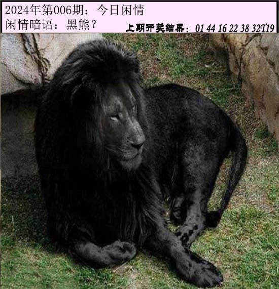 006期今日闲情[图]