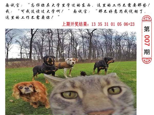 007期澳门生活幽默[图]