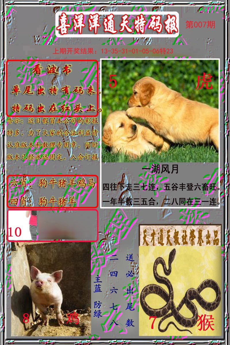 007期洋通报[图]