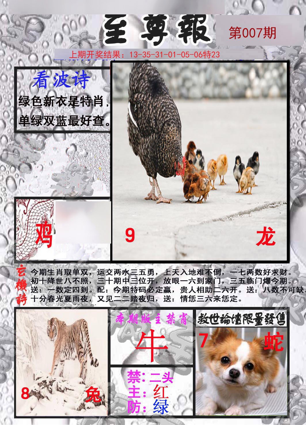 007期至尊报[图]