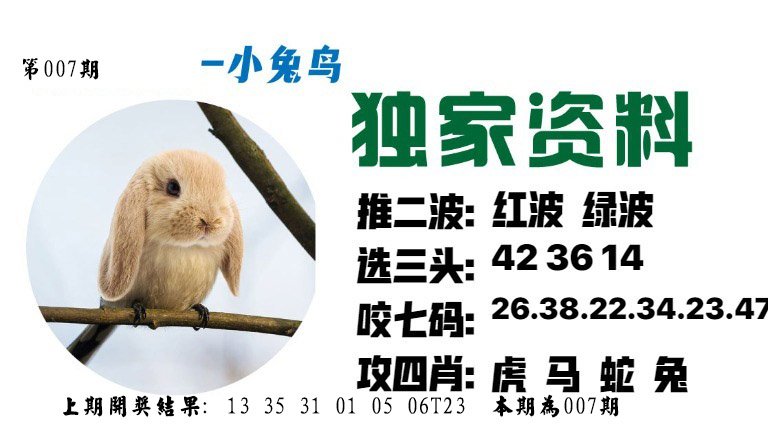 007期小兔鸟[图]