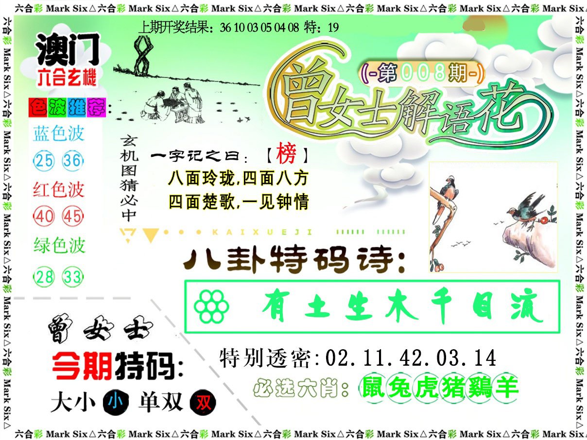 008期曾女士解语花[图]