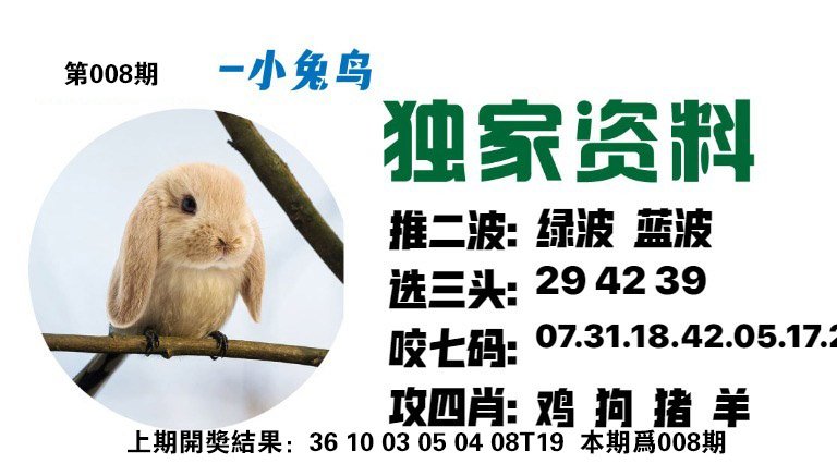 008期小兔鸟[图]