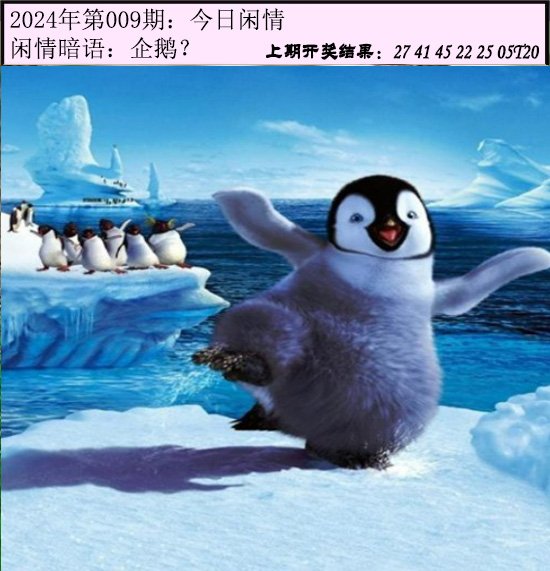 009期今日闲情[图]