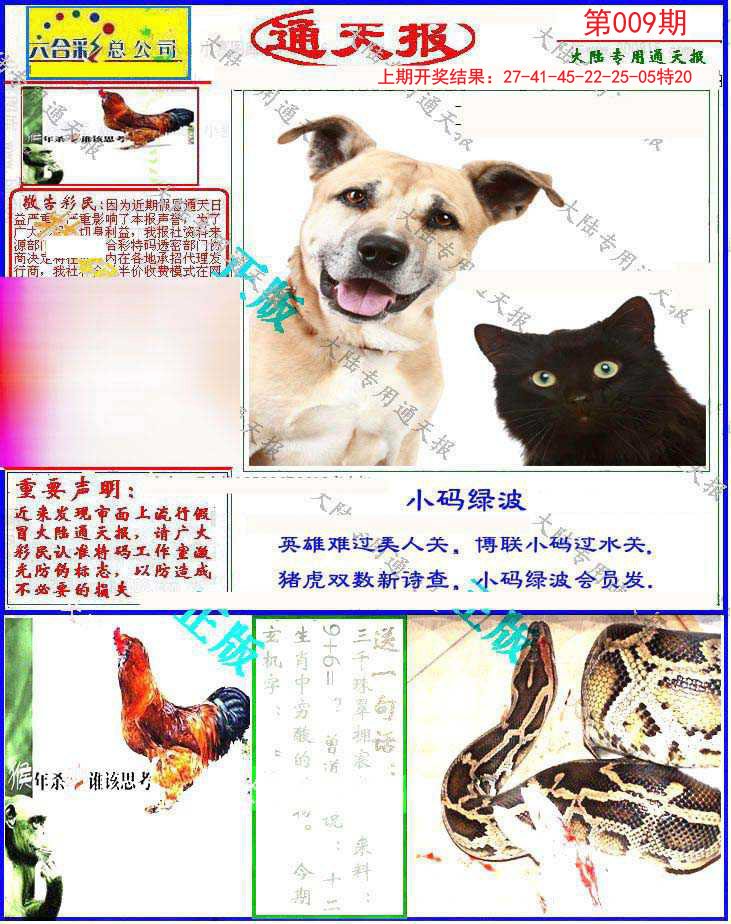 009期大陆通天报[图]