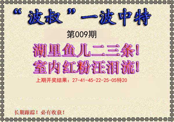 009期波叔一波中特[图]
