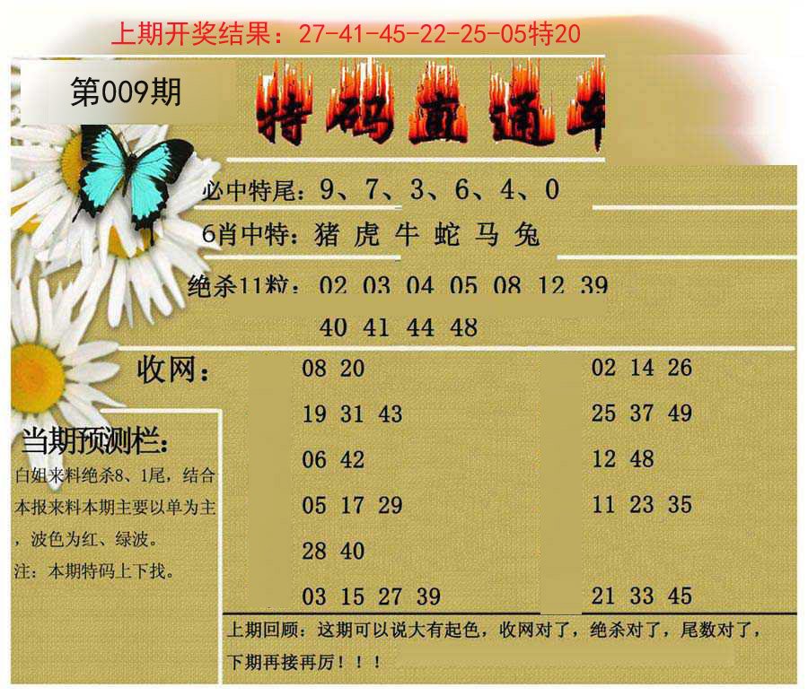 009期特码直通车[图]