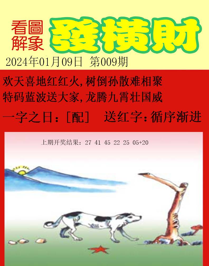 009期梦里寻码[图]