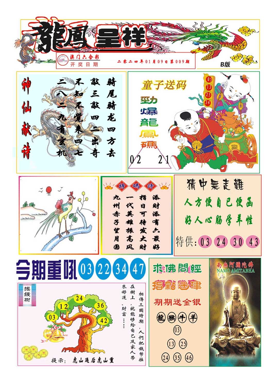 009期龙凤呈祥B[图]
