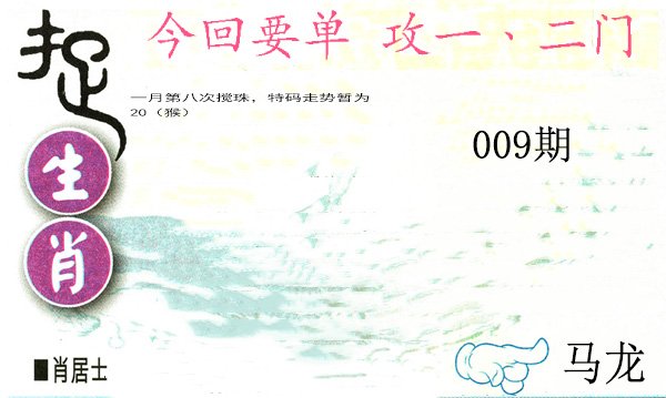 009期捉生肖[图]