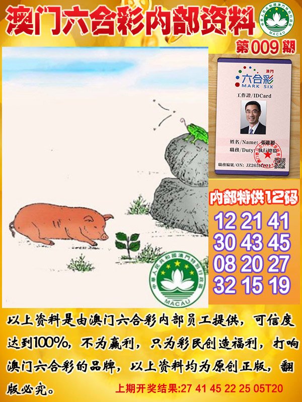 009期六合内部资料[图]
