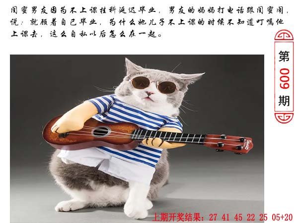 009期澳门生活幽默[图]