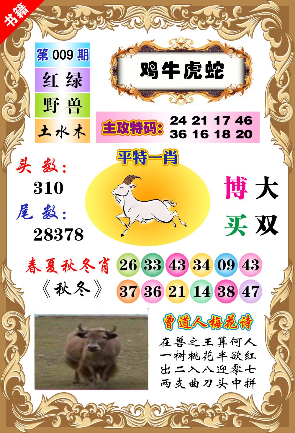 009期澳门特码旺[图]