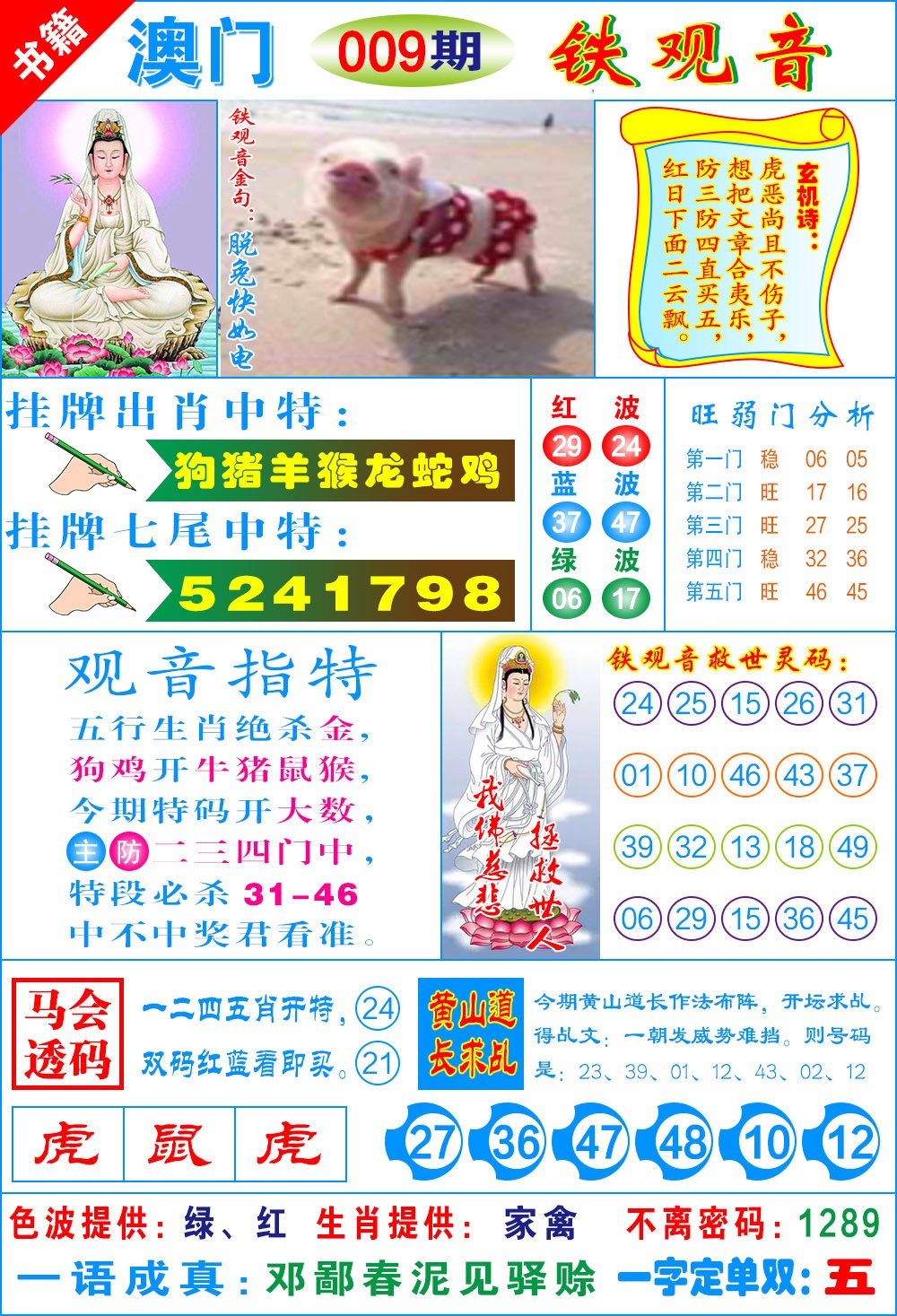 009期澳门铁观音[图]