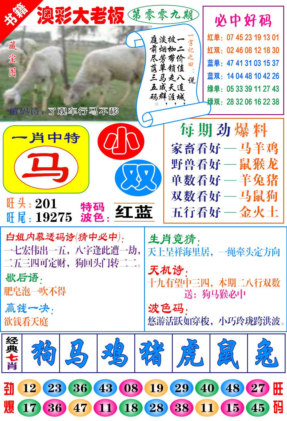 009期澳门大老板[图]