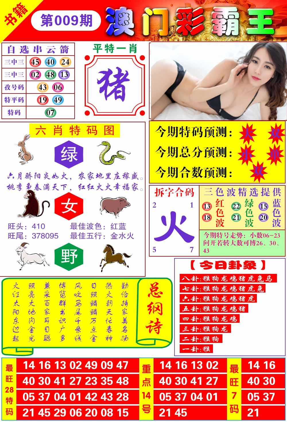 009期澳门彩霸王[图]
