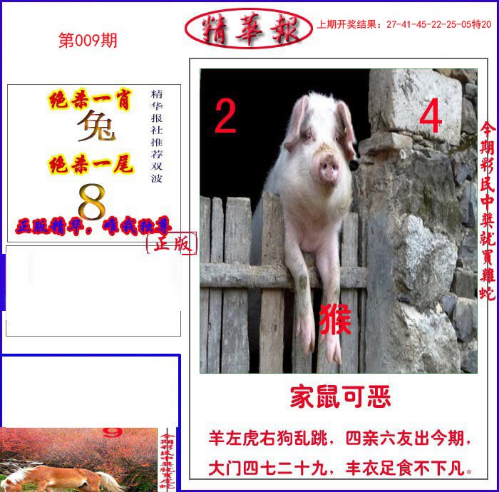 009期新精华报报[图]