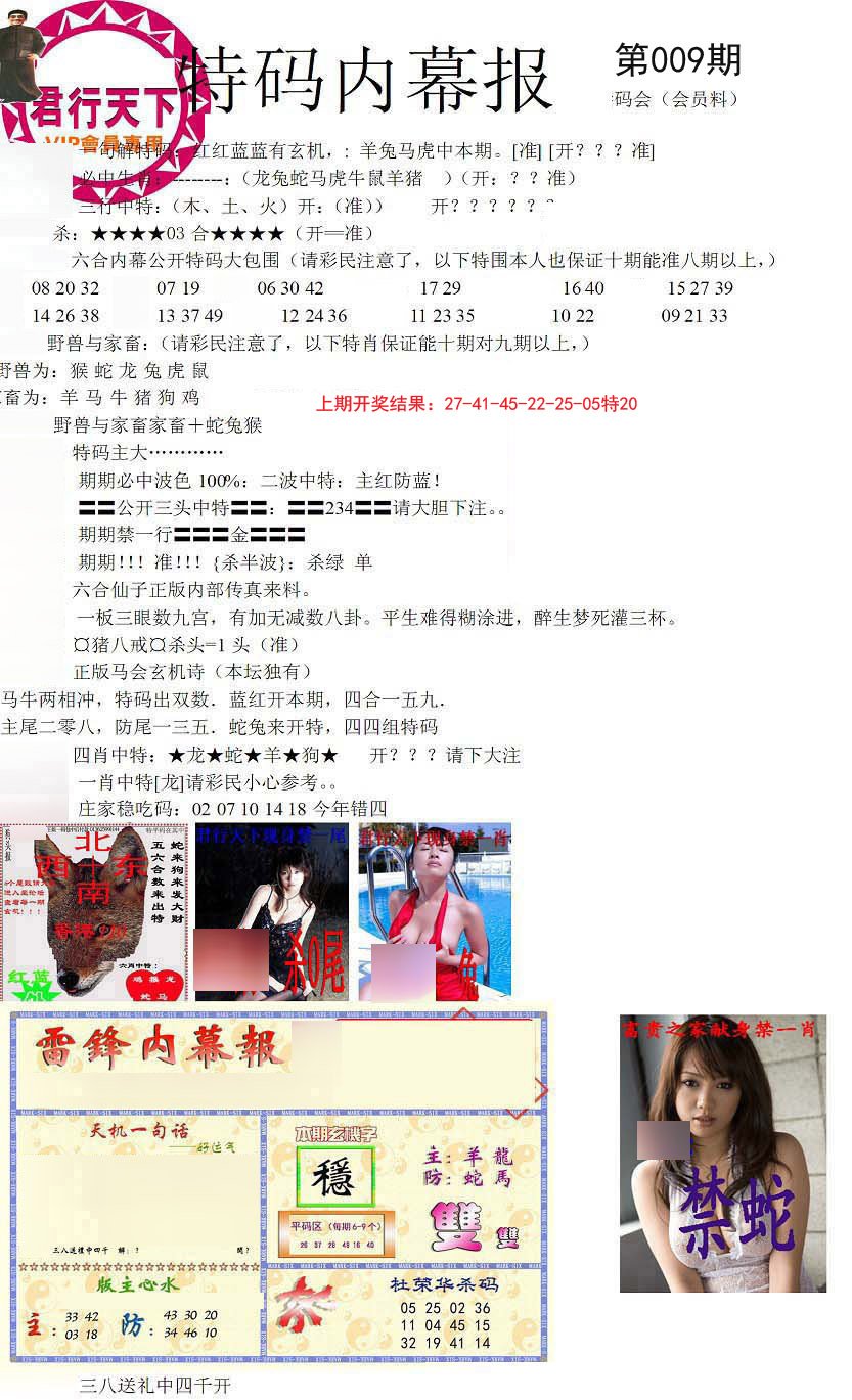 009期特码内幕报[图]