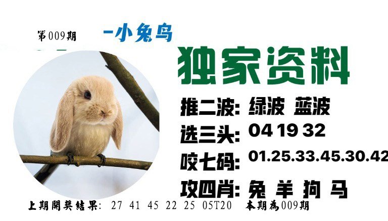 009期小兔鸟[图]