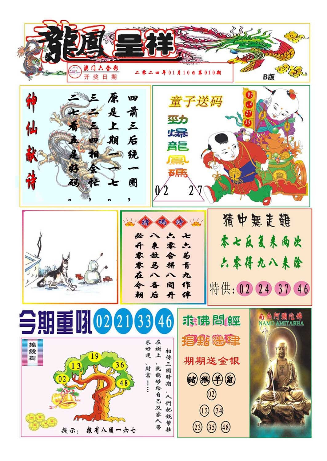 010期龙凤呈祥B[图]