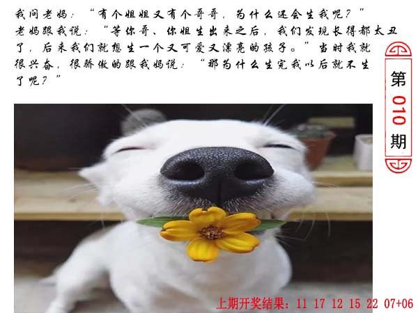 010期澳门生活幽默[图]