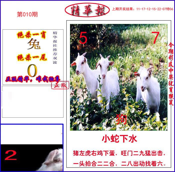 010期新精华报报[图]