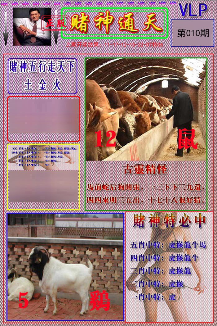 010期赌神通天报[图]