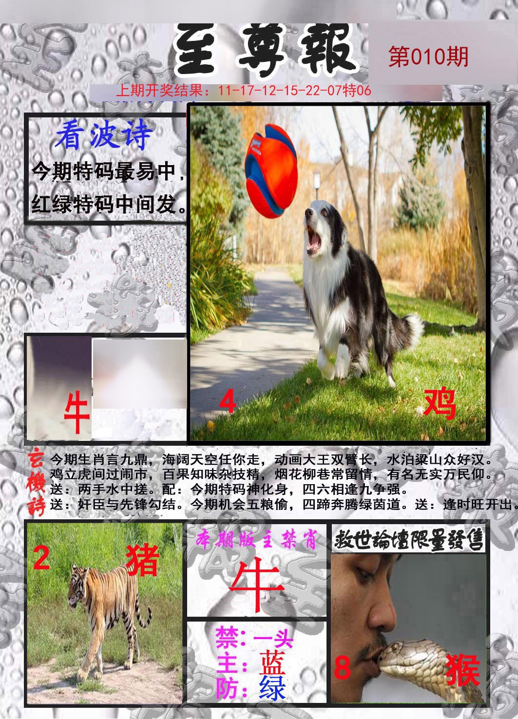 010期至尊报[图]