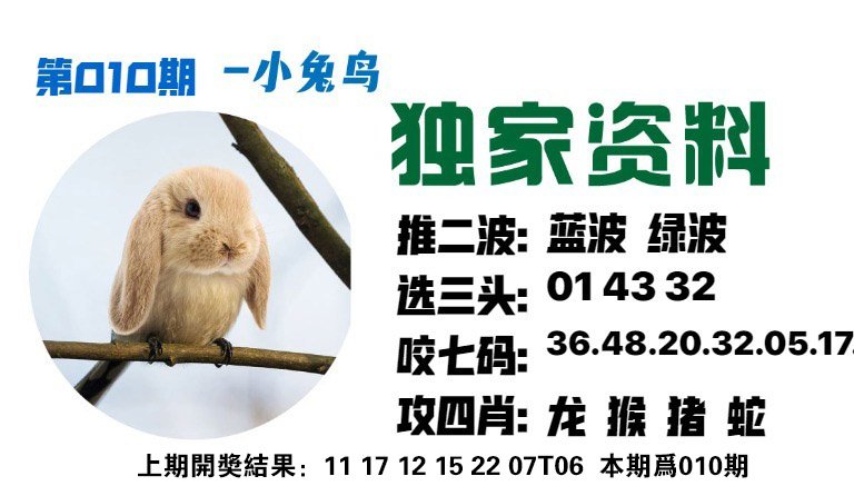 010期小兔鸟[图]