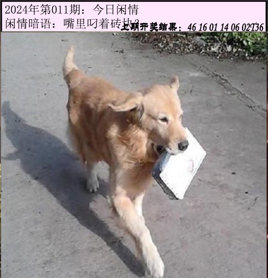 011期今日闲情[图]