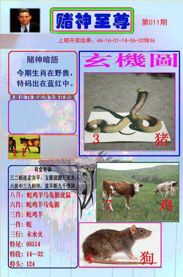 011期赌神至尊[图]