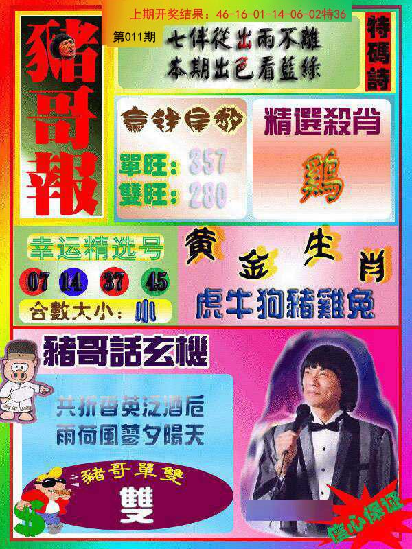 011期猪哥报[图]