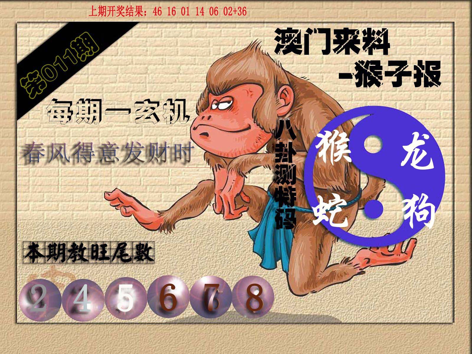 011期(来料)猴报[图]