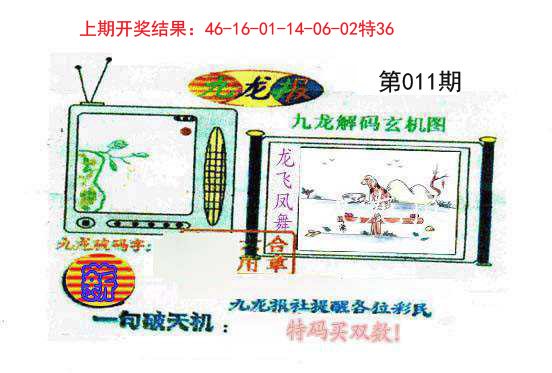 011期九龙报[图]