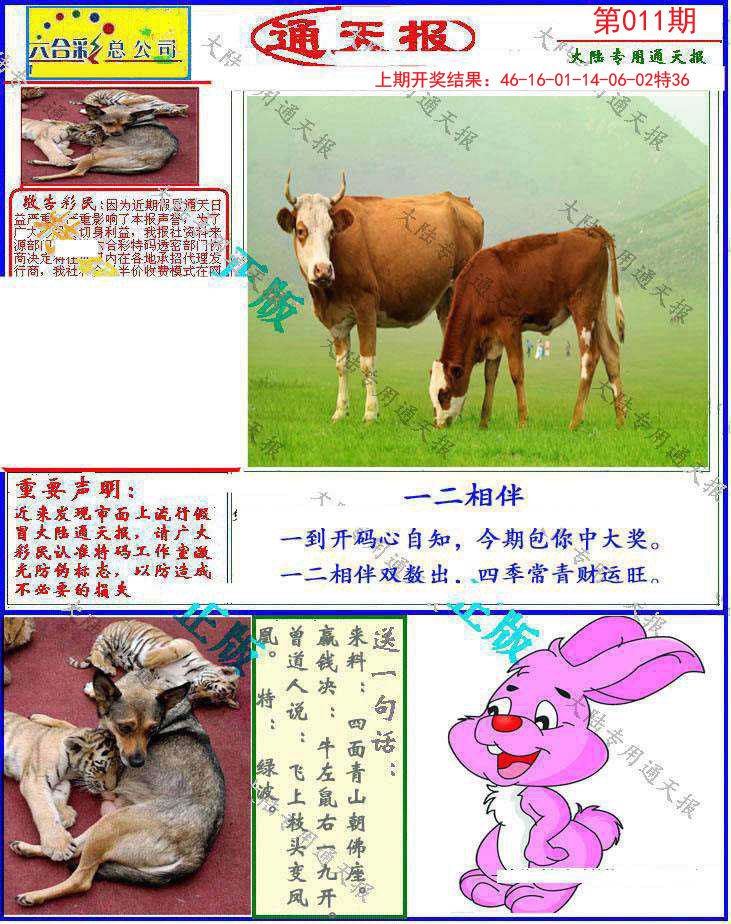 011期大陆通天报[图]