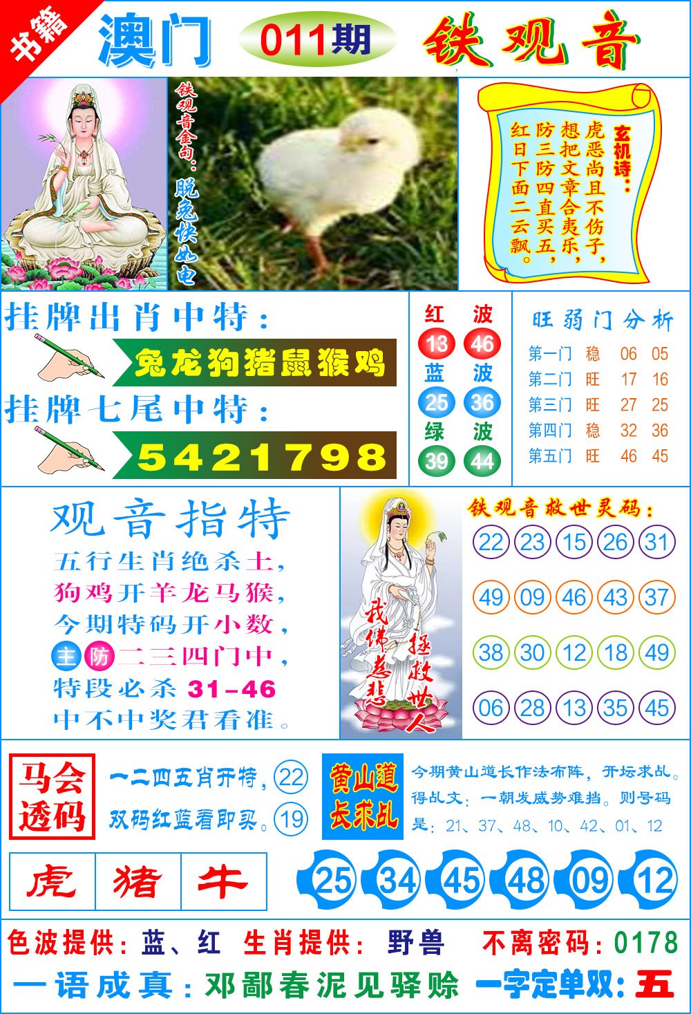 011期澳门铁观音[图]