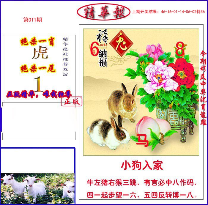 011期新精华报报[图]