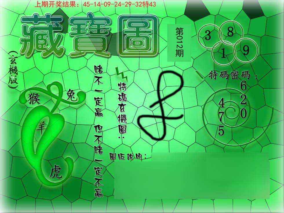 012期九龍玄机报[图]
