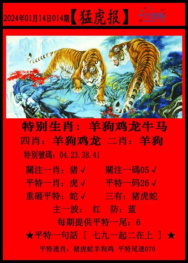 014期猛虎报[图]