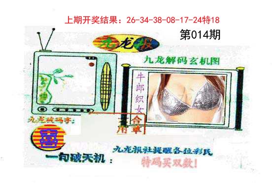 014期九龙报[图]