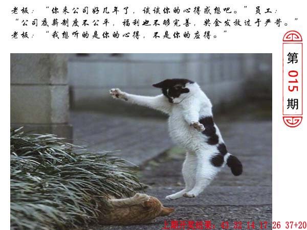 015期澳门生活幽默[图]