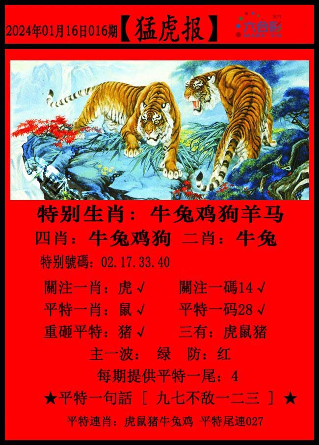 016期猛虎报[图]