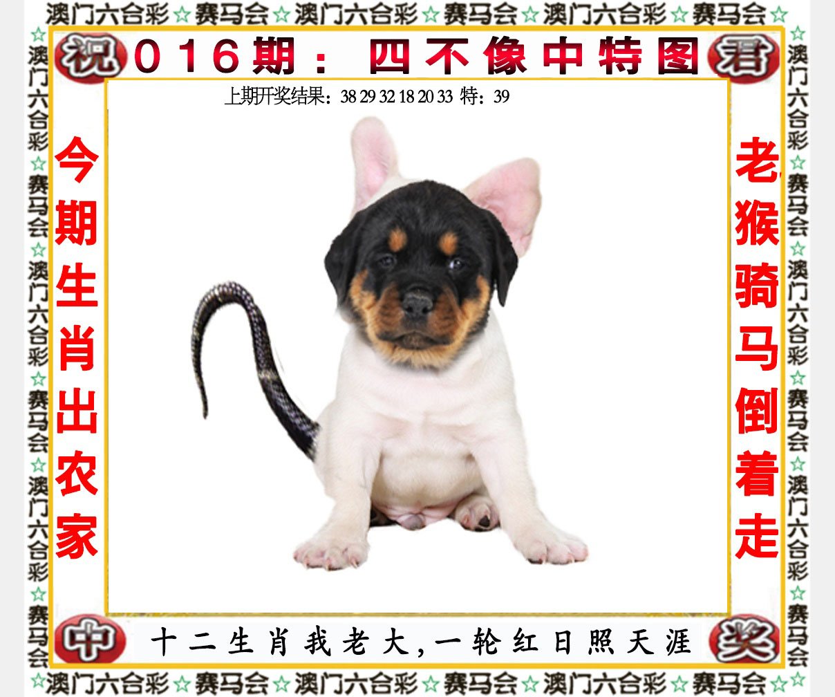 016期四不像中特图[图]