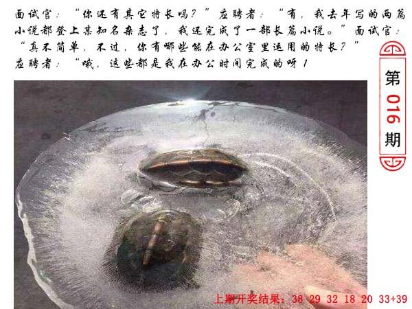 016期澳门生活幽默[图]