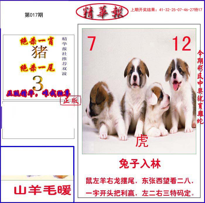 017期新精华报报[图]
